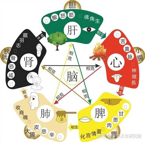 五行味道|五味（中医基础术语）